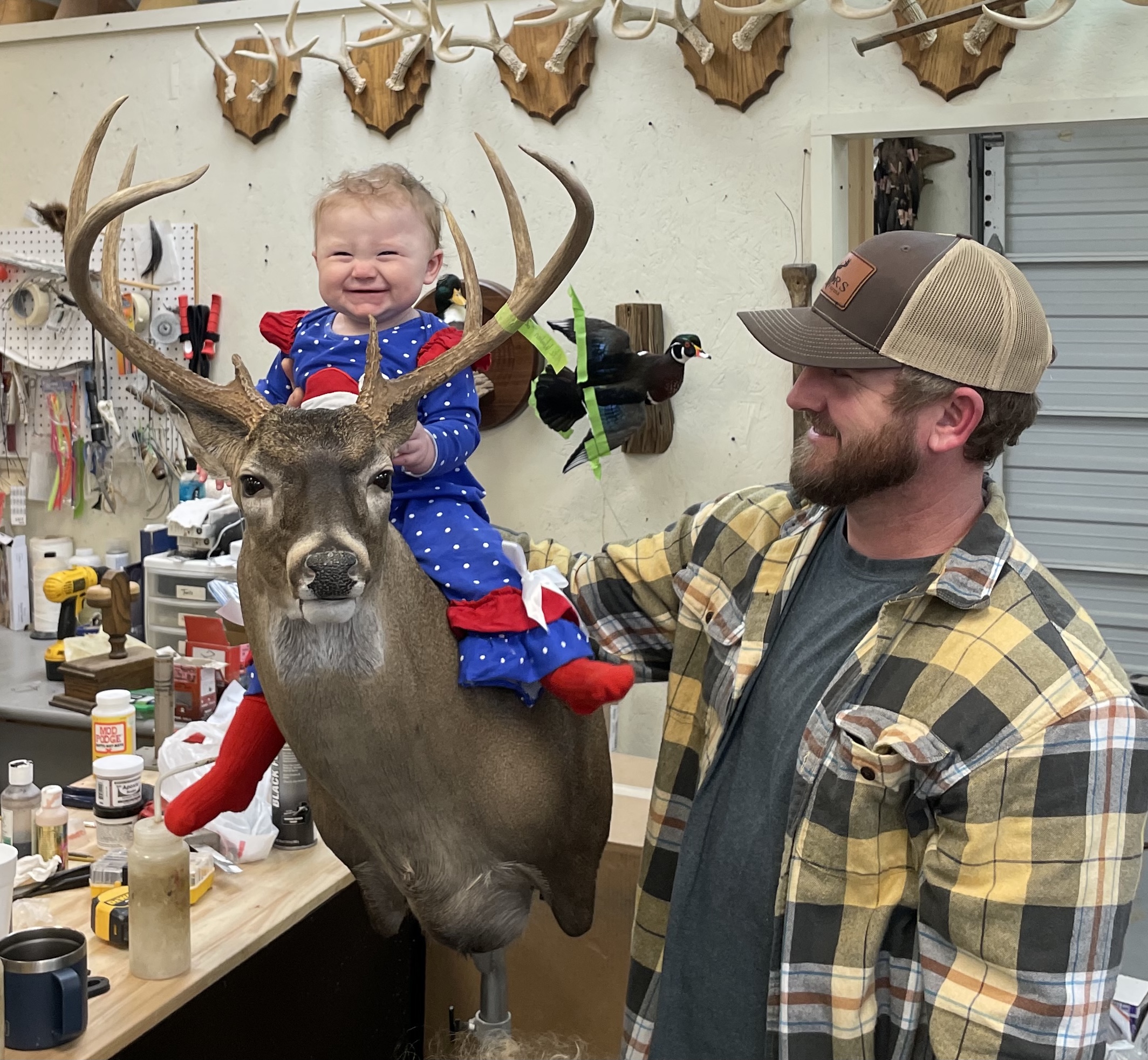 Cole Mears in the taxidermy shop holding his daughter Libby up on a whitetail mount