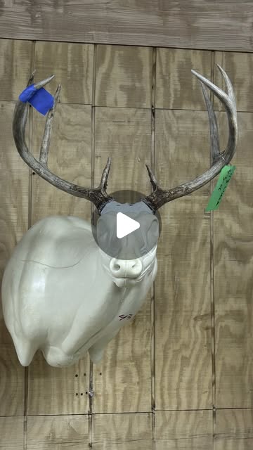 Instagram reel clip from the Mossy Oak GameKeeper Podcast with the Mears family